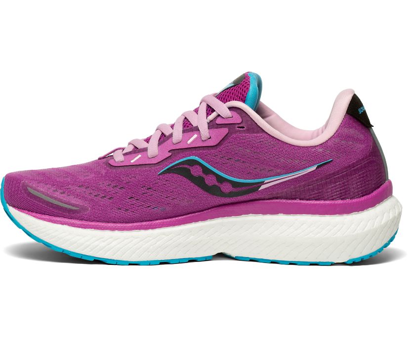 Saucony Triumph 19 Löparskor Dam Lila | Sverige 451EBC